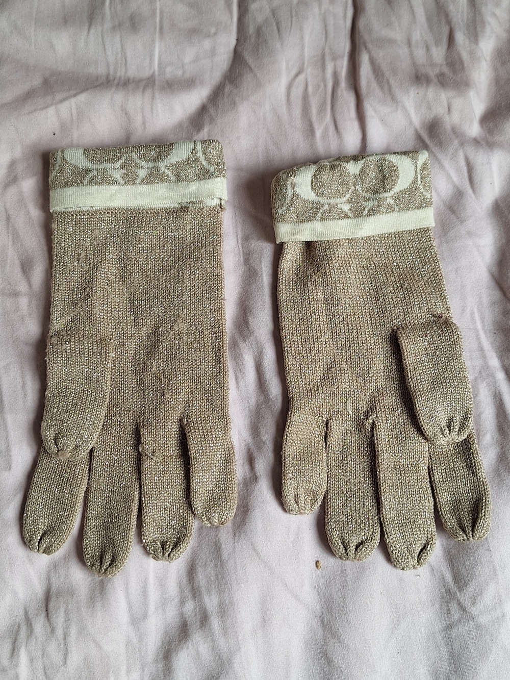 Coach gloves